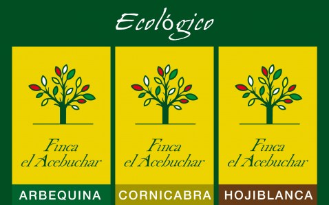 ecologico2